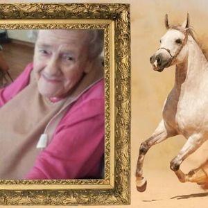 Meet your Posher, Norma